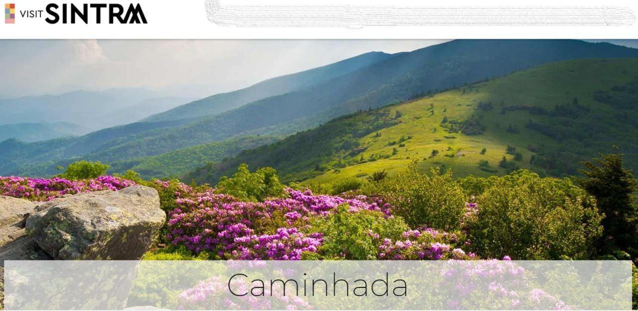 Sintra Lousa Εξωτερικό φωτογραφία